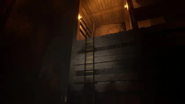 Wooden ladder leading to an illuminated upper cavern structure